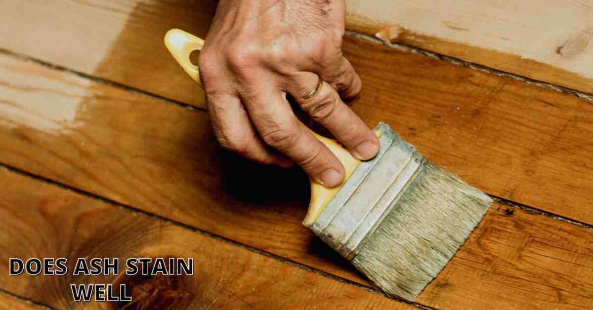 Does Ash Stain Well? (How to Stain)