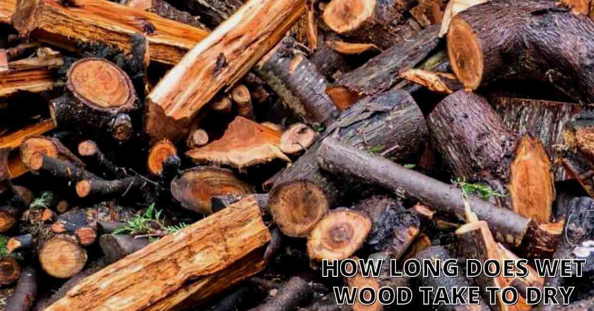 How Long Does Wet Wood Take to Dry?