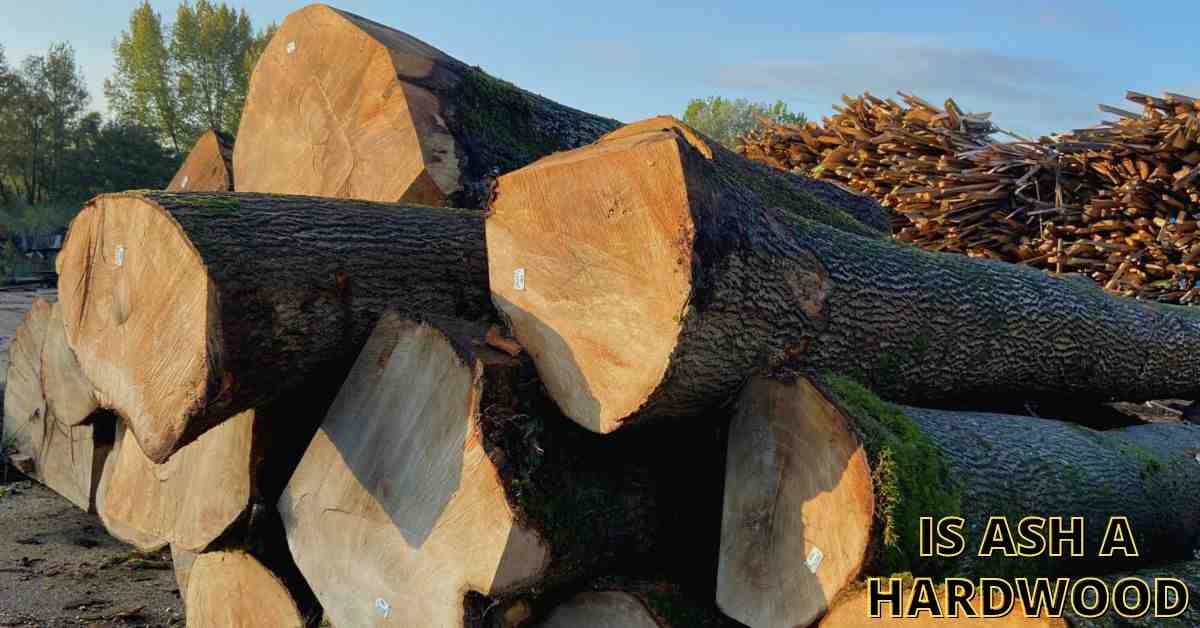 Is Ash a Hardwood (Cleared All Confusions)