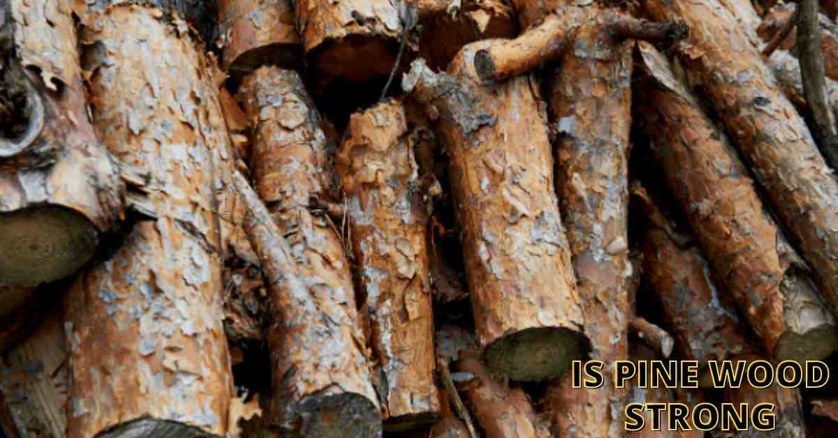 Is Pine Wood Strong? (Everything You Need To Know)