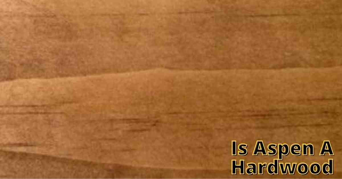 Is Aspen A Hardwood Or Softwood (Hardness Explained)
